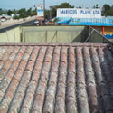 Tile roofs really look bad after pigeons have been roosting on them for a while.